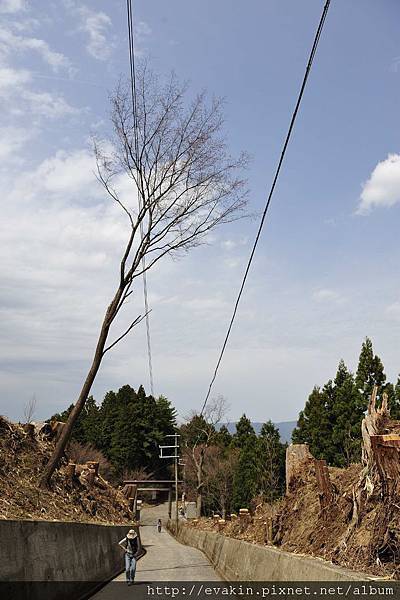 _KIN3886.jpg _KIN3886.jpg