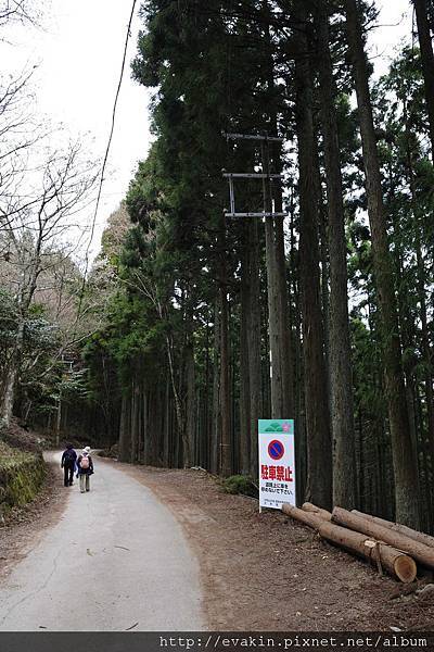 _KIN3887.jpg _KIN3887.jpg