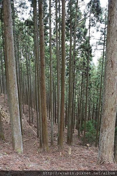 _KIN3888.jpg _KIN3888.jpg