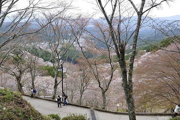 _KIN3904.jpg _KIN3904.jpg