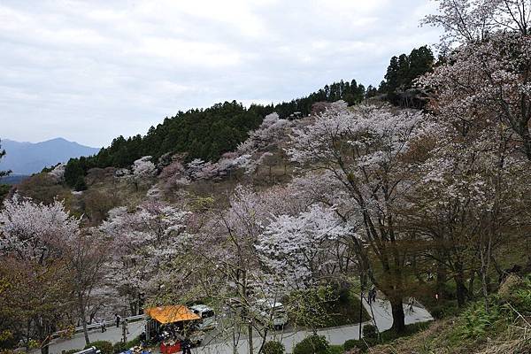 _KIN3914.jpg _KIN3914.jpg