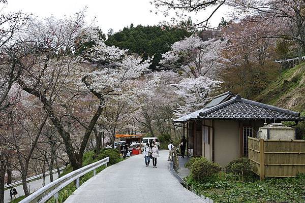 _KIN3917.jpg _KIN3917.jpg