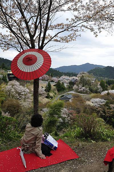 _KIN3927.jpg _KIN3927.jpg