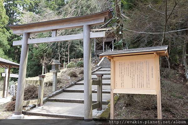 _KIN3882.JPG _KIN3882.JPG