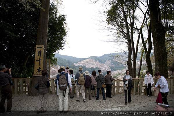 _KIN3973.JPG _KIN3973.JPG