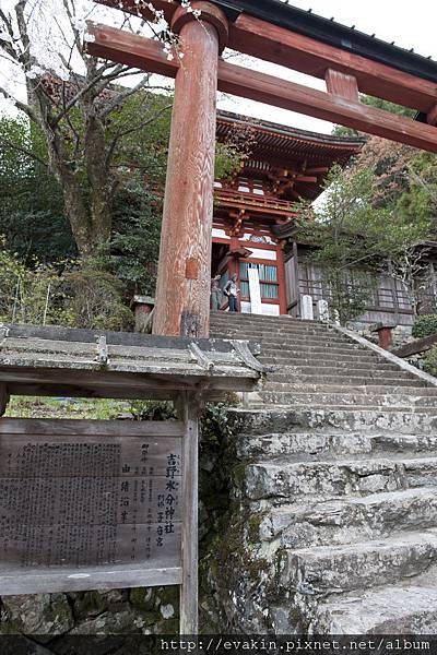 _KIN3890.JPG _KIN3890.JPG