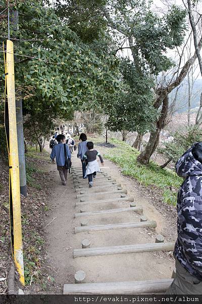 _KIN3902.JPG _KIN3902.JPG