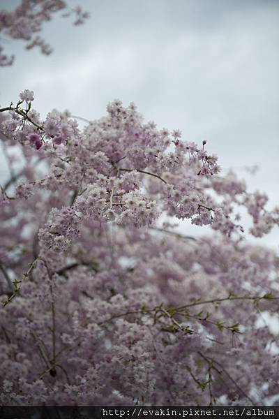 _KIN3950.JPG _KIN3950.JPG