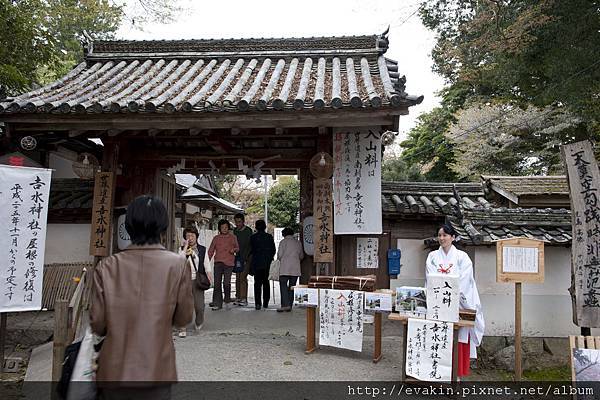 _KIN3967.JPG _KIN3967.JPG