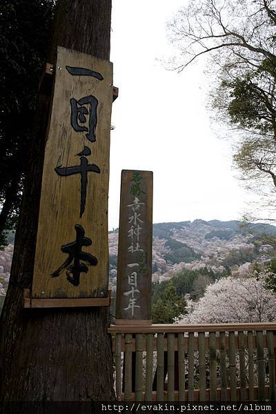 _KIN3969.JPG _KIN3969.JPG