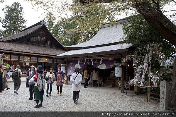 _KIN3971.JPG _KIN3971.JPG