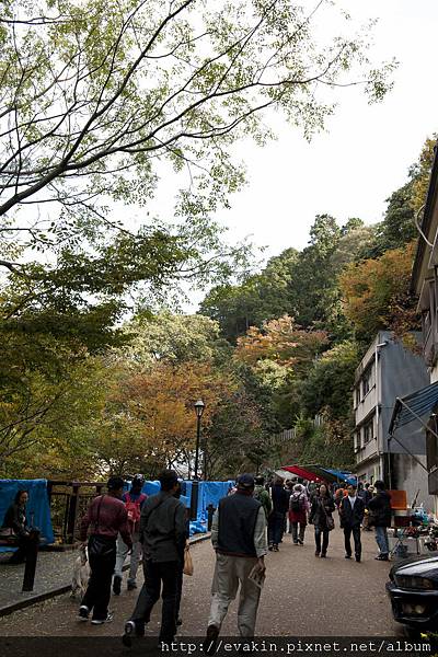 _KIN5207.jpg _KIN5207.jpg