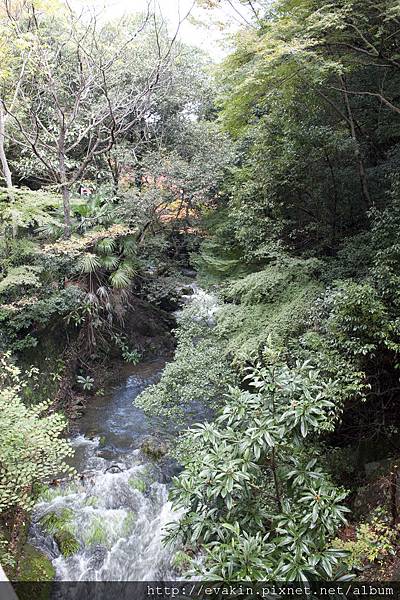 _KIN5209.jpg _KIN5209.jpg