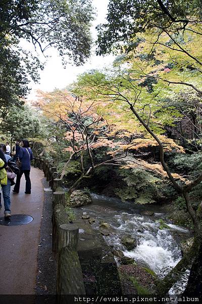 _KIN5214.jpg _KIN5214.jpg