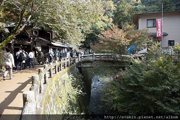 _KIN5219.jpg _KIN5219.jpg