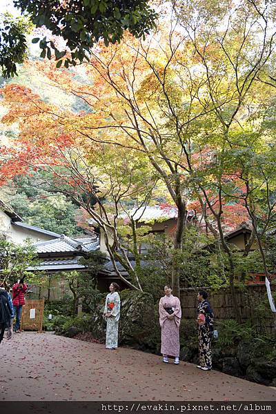 _KIN5221.jpg _KIN5221.jpg