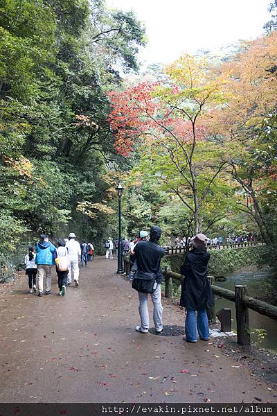 _KIN5225.jpg _KIN5225.jpg