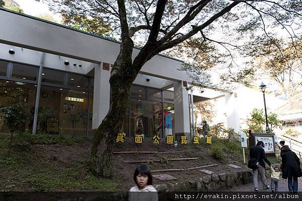 _KIN5229.jpg _KIN5229.jpg