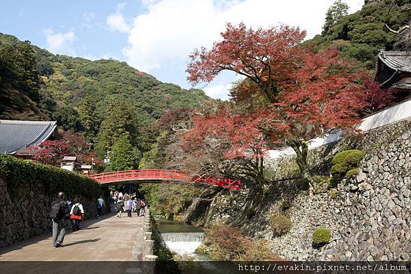 _KIN5235.jpg _KIN5235.jpg