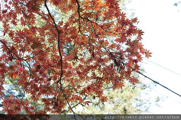 _KIN5247.jpg _KIN5247.jpg