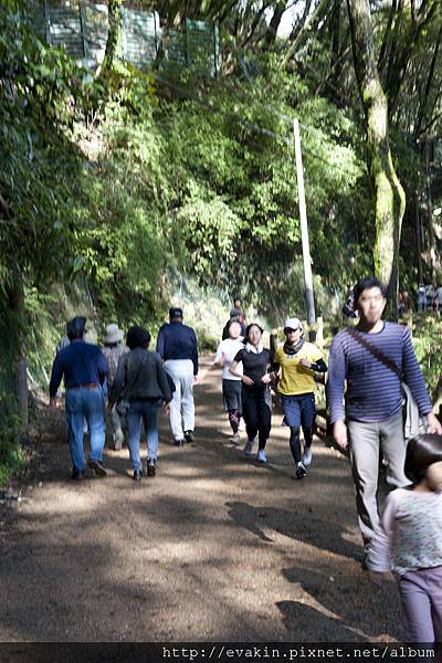 _KIN5249.jpg _KIN5249.jpg