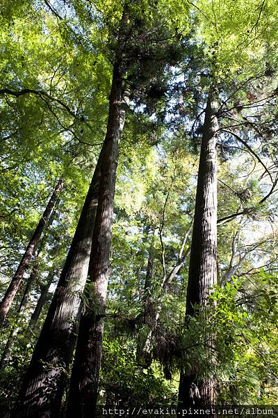 _KIN5251.jpg _KIN5251.jpg