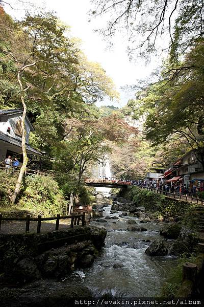 _KIN5258.jpg _KIN5258.jpg