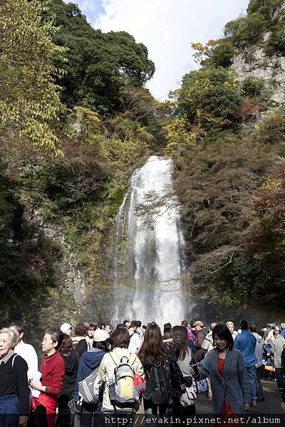 _KIN5259.jpg _KIN5259.jpg