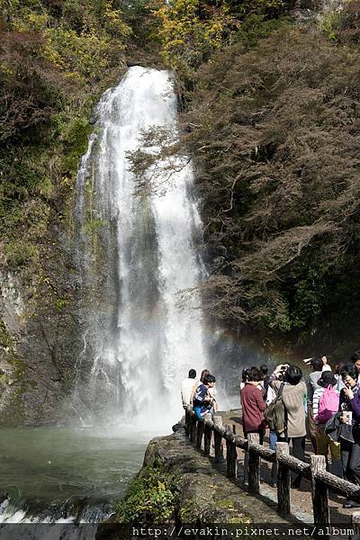 _KIN5262.jpg _KIN5262.jpg