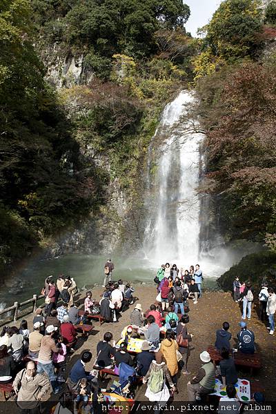 _KIN5264.jpg _KIN5264.jpg