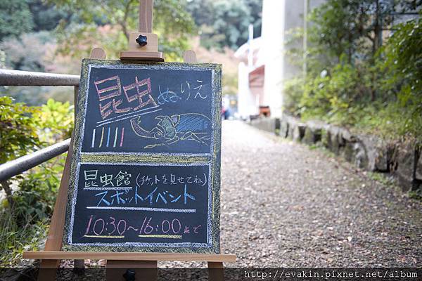 _KIN5290.jpg _KIN5290.jpg