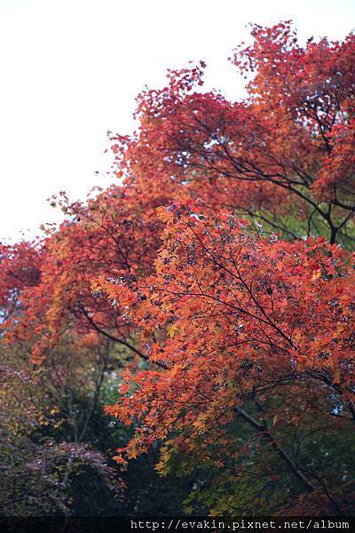 _KIN5296.jpg _KIN5296.jpg