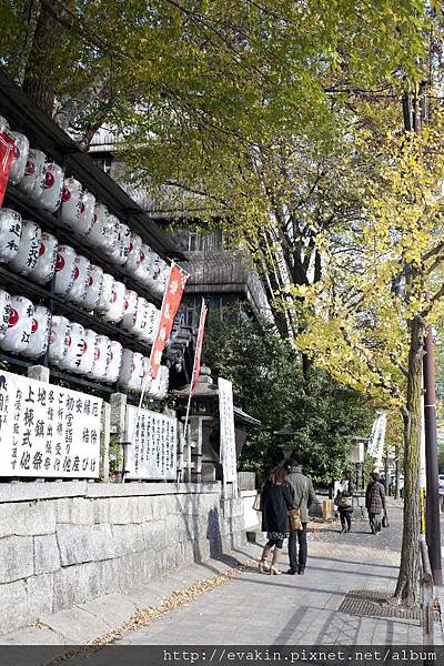 _KIN5936-1.jpg _KIN5936-1.jpg