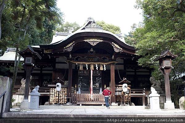 _KIN5943-1.jpg _KIN5943-1.jpg