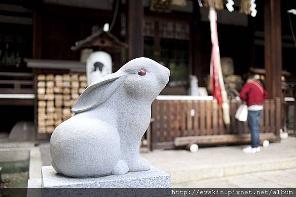 _KIN5945-1.jpg _KIN5945-1.jpg