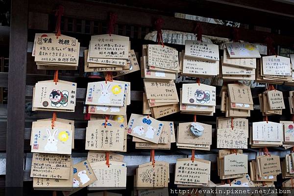 _KIN5946-1.jpg _KIN5946-1.jpg