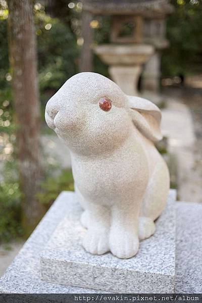 _KIN5957-1.jpg _KIN5957-1.jpg