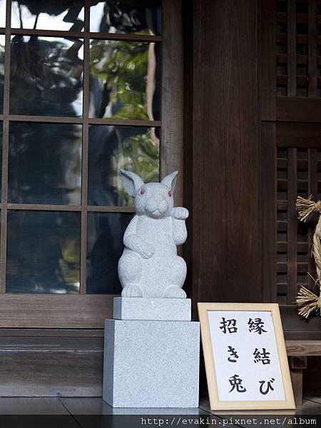 _KIN5955.jpg _KIN5955.jpg