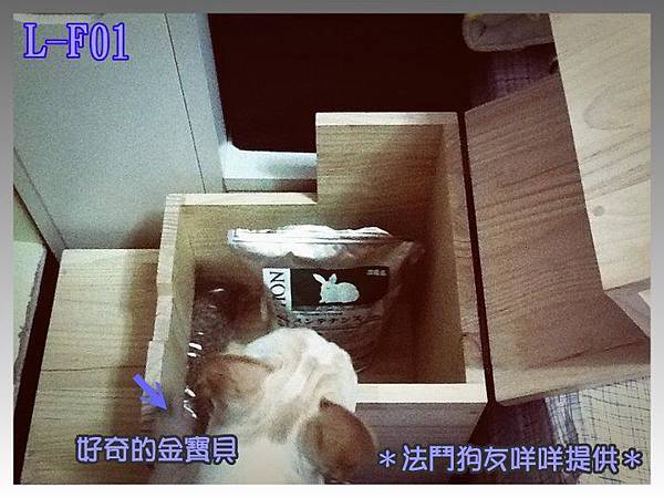 金寶樓梯1 掀開.jpg