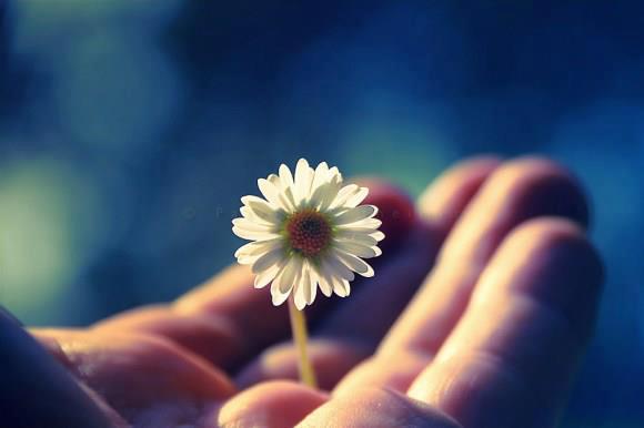 303912_619143898111499_651942686_n