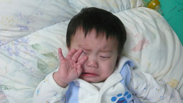 P1070592.JPG P1070592.JPG