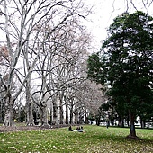 鬧市中隨時隨地可以找到的大草坪