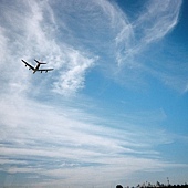 看到飛機會特別的想家