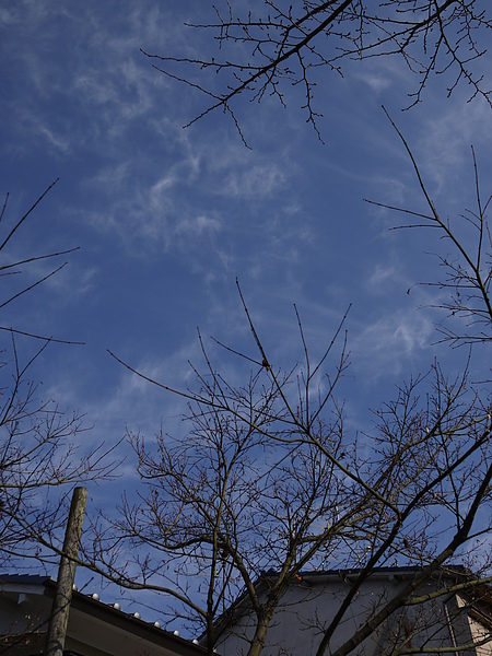 P1000380.JPG P1000380.JPG