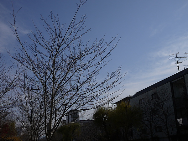 P1000375.JPG P1000375.JPG