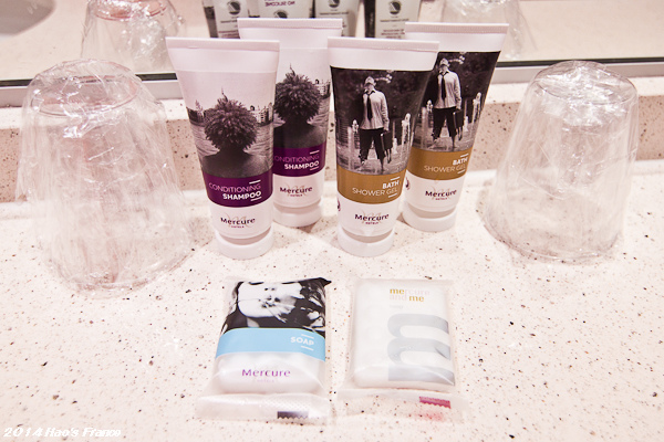 20140410mercure17.jpg