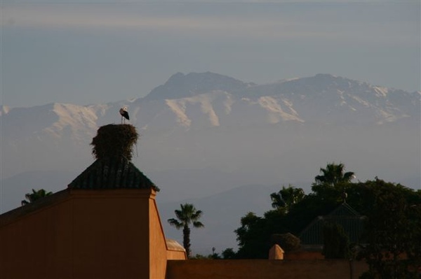 2007.12.23-25 in Marrakeche 547.jpg