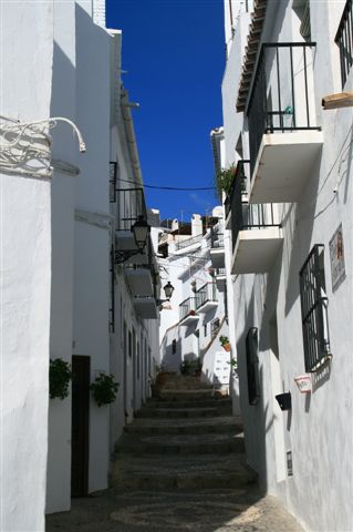 2008.1.14-15 283.jpg 2008.1.14-15 283.jpg