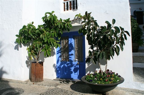 2008.1.14-15 292.jpg 2008.1.14-15 292.jpg