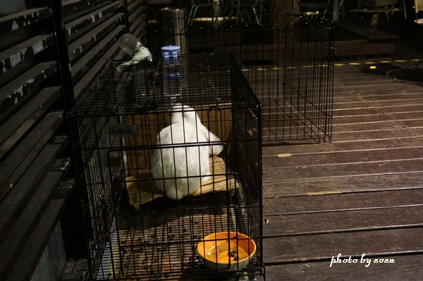 6028 1.JPG 6028 1.JPG